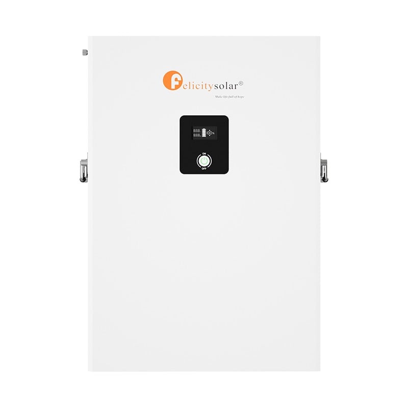 Felicity Solar LPBA48100WG1